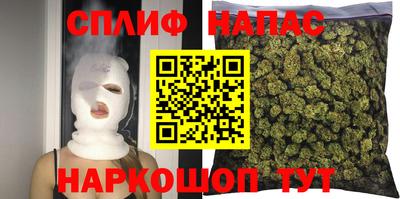 тгк Кингисепп