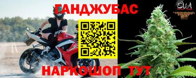 тгк Кингисепп