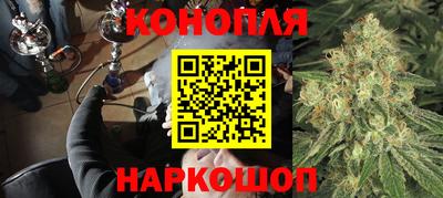 тгк Кингисепп