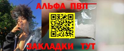 тгк Кингисепп