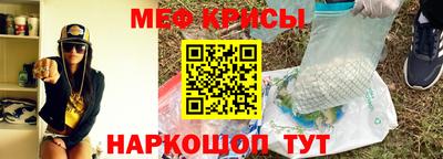 тгк Кингисепп