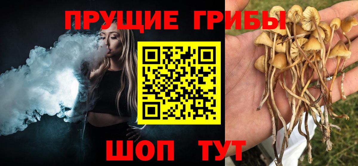 Щёлково  Галлюциногенные грибы Psilocybine cubensis  как найти   Вход с VPN 
